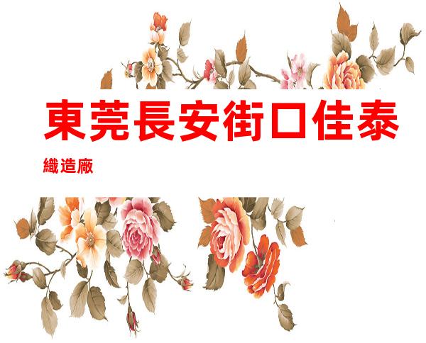 東莞長安街口佳泰織造廠